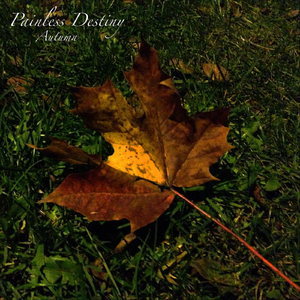 暗区突围同人大鸡巴后入
